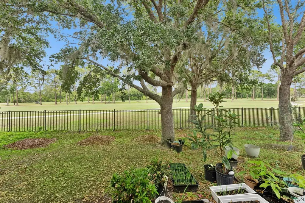4627 Blue Major Drive Windermere FL 34786
