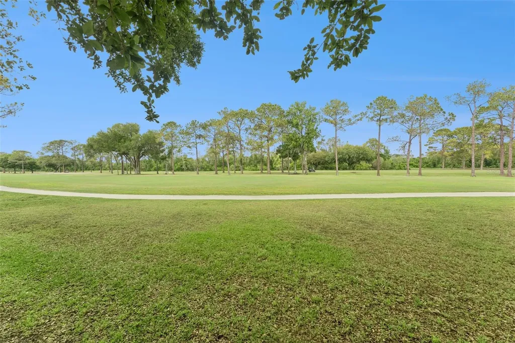 4627 Blue Major Drive Windermere FL 34786