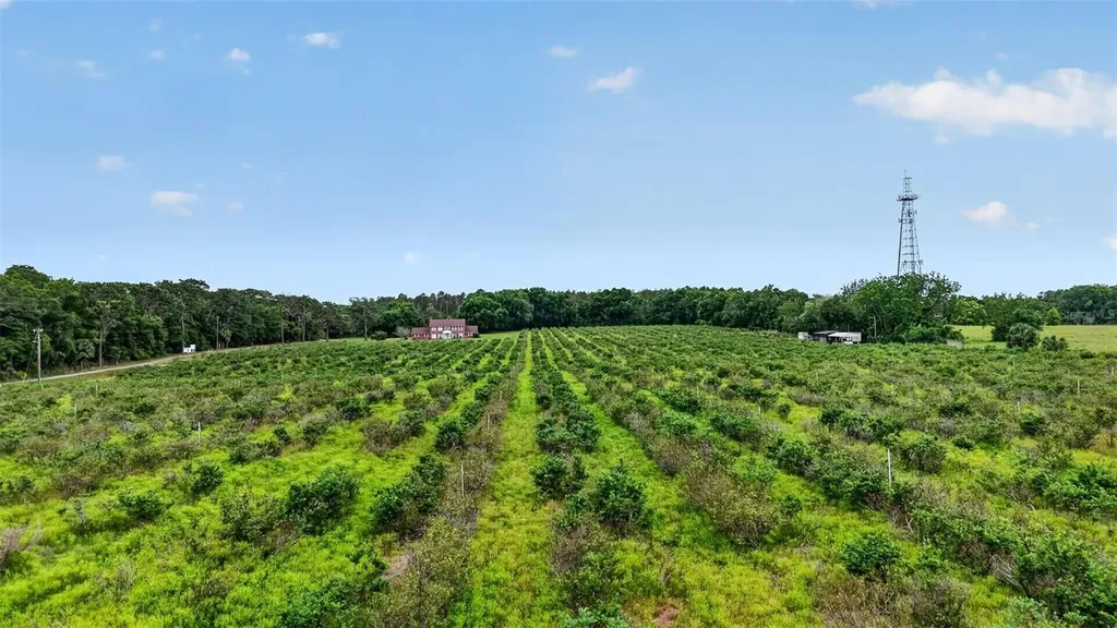 Urick Street Fruitland Park FL 34731