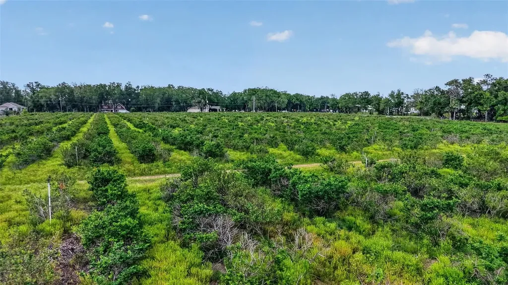 Urick Street Fruitland Park FL 34731