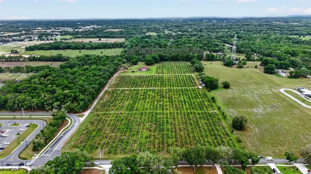 Urick Street Fruitland Park FL 34731