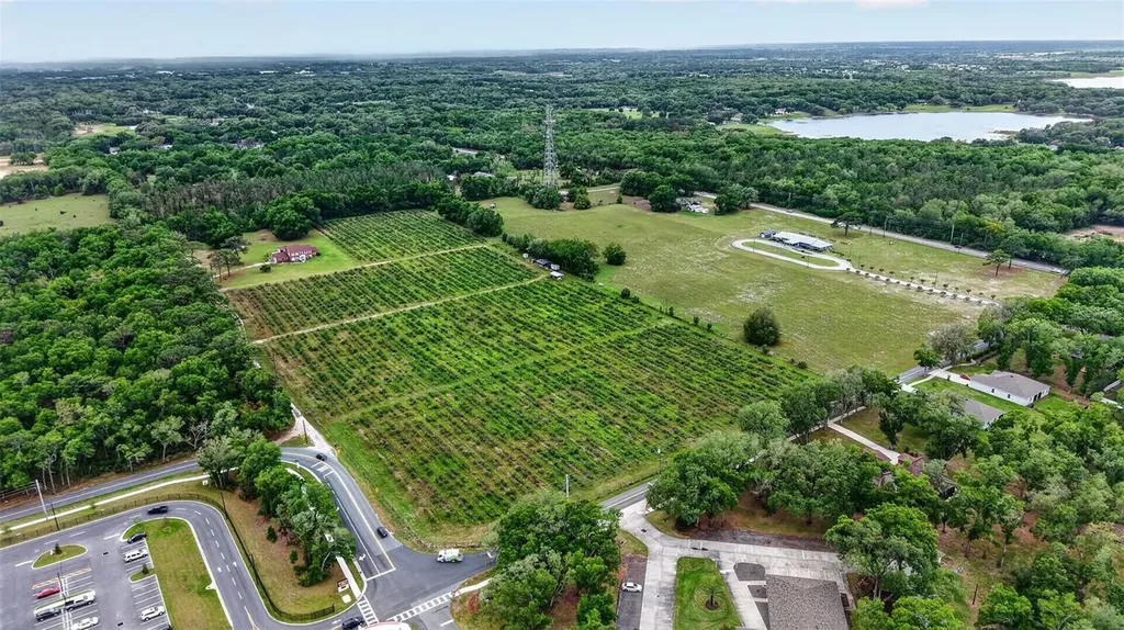Urick Street Fruitland Park FL 34731