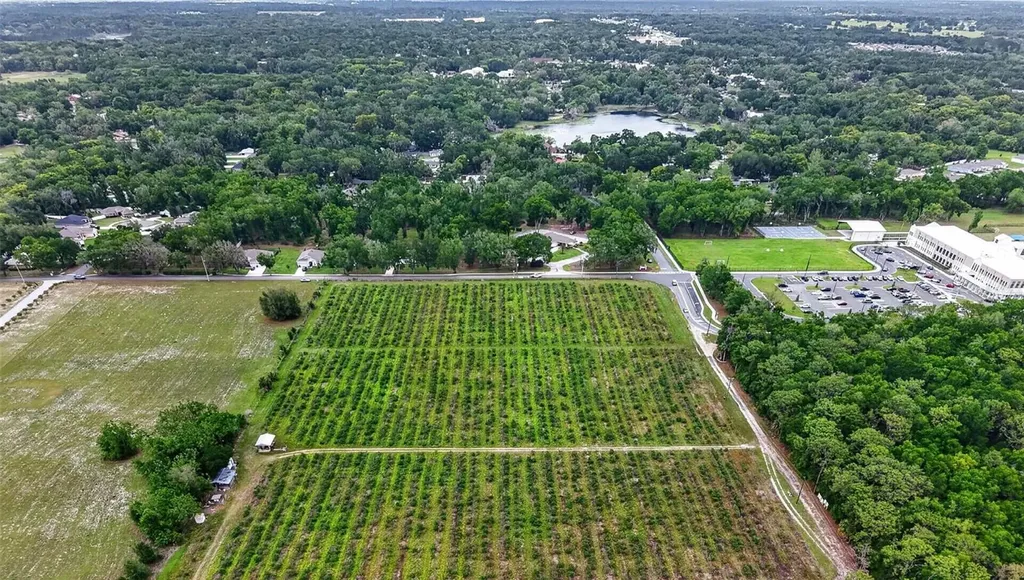 Urick Street Fruitland Park FL 34731