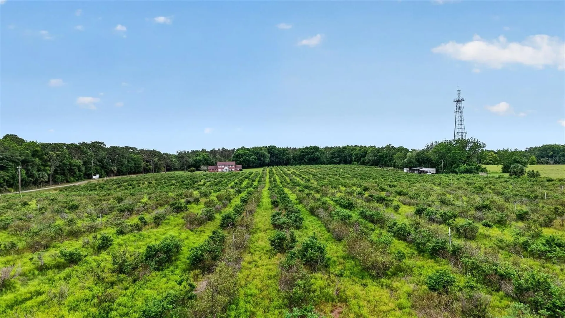 Urick Street Fruitland Park FL 34731