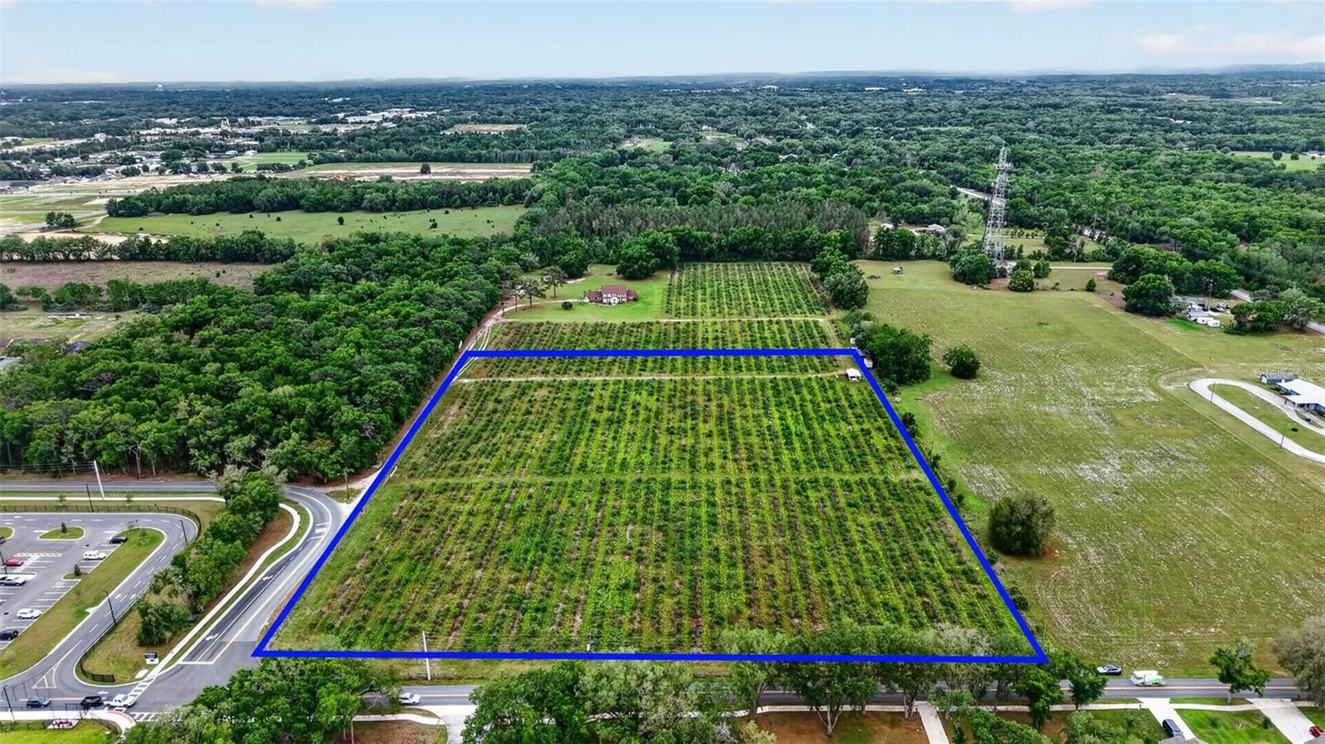 Urick Street Fruitland Park FL 34731