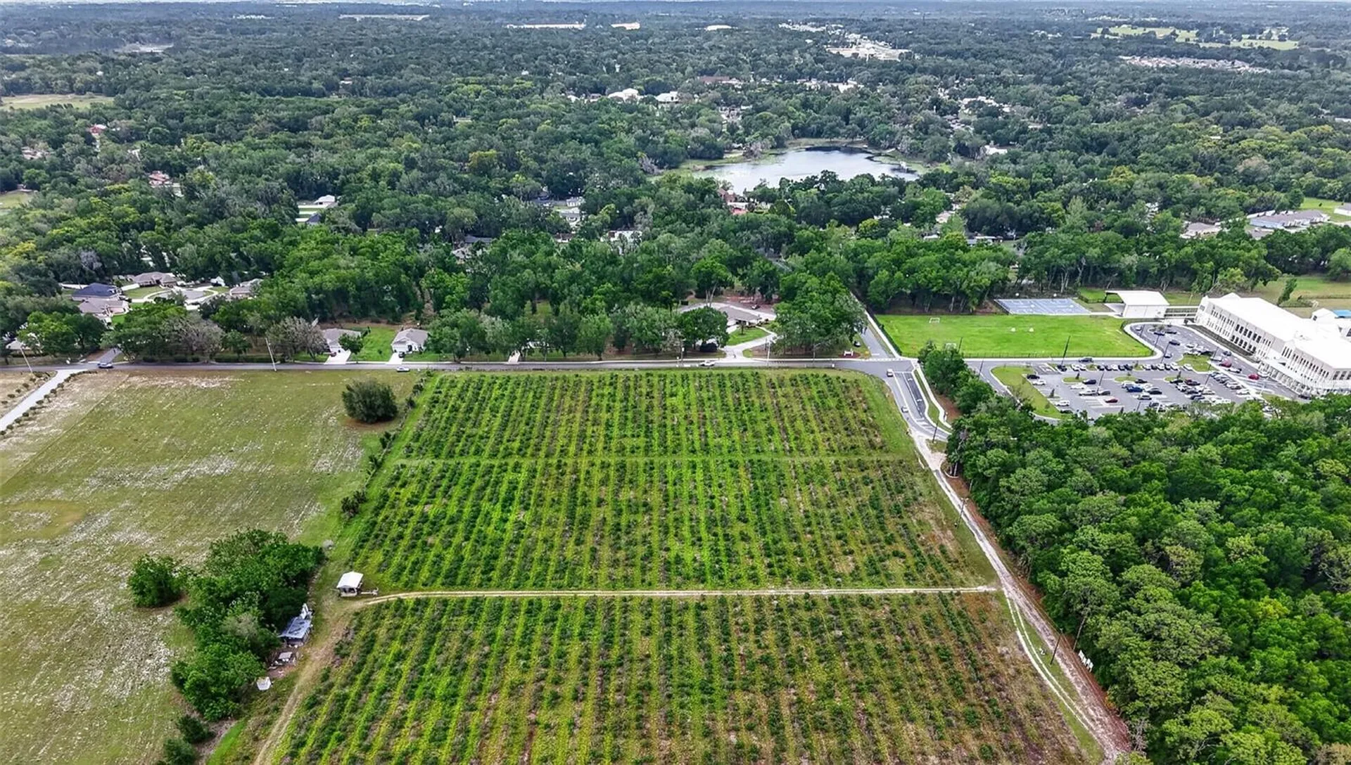 Urick Street Fruitland Park FL 34731