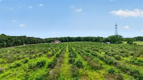 Urick Street Fruitland Park FL 34731