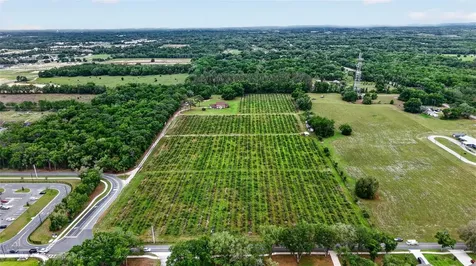 Urick Street Fruitland Park FL 34731