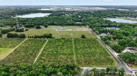 Urick Street Fruitland Park FL 34731