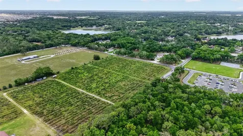 Urick Street Fruitland Park FL 34731