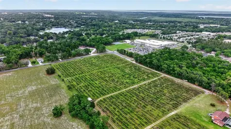 Urick Street Fruitland Park FL 34731