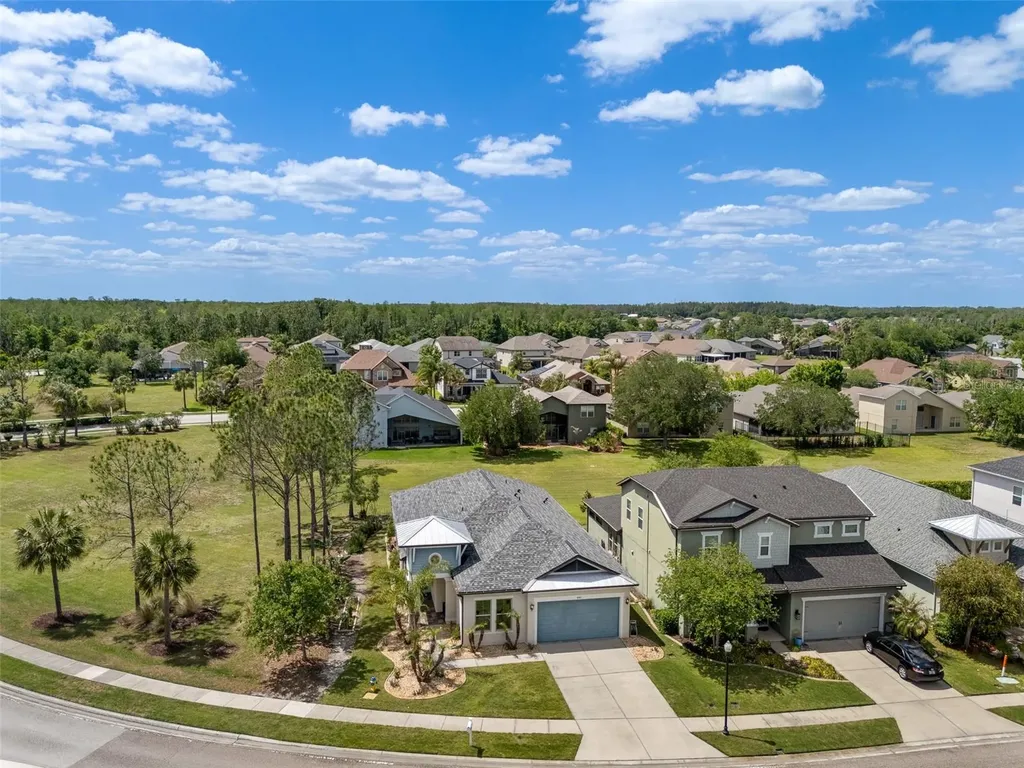 4501 Rolling Green Drive Wesley Chapel FL 33543
