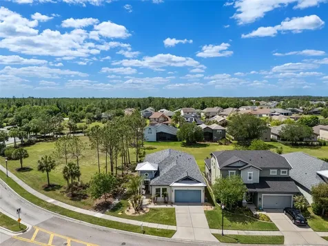 4501 Rolling Green Drive Wesley Chapel FL 33543