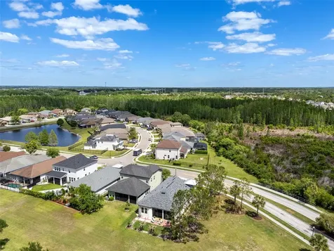 4501 Rolling Green Drive Wesley Chapel FL 33543
