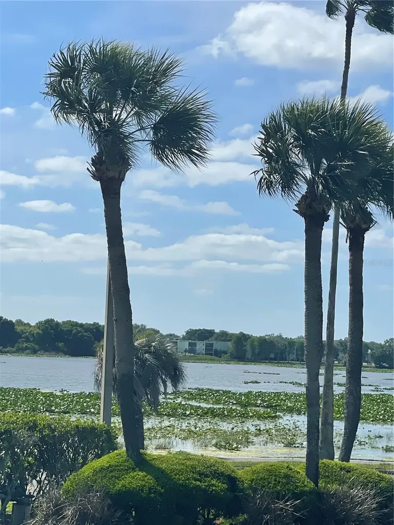 1600 W Lake Parker Drive Lakeland FL 33805