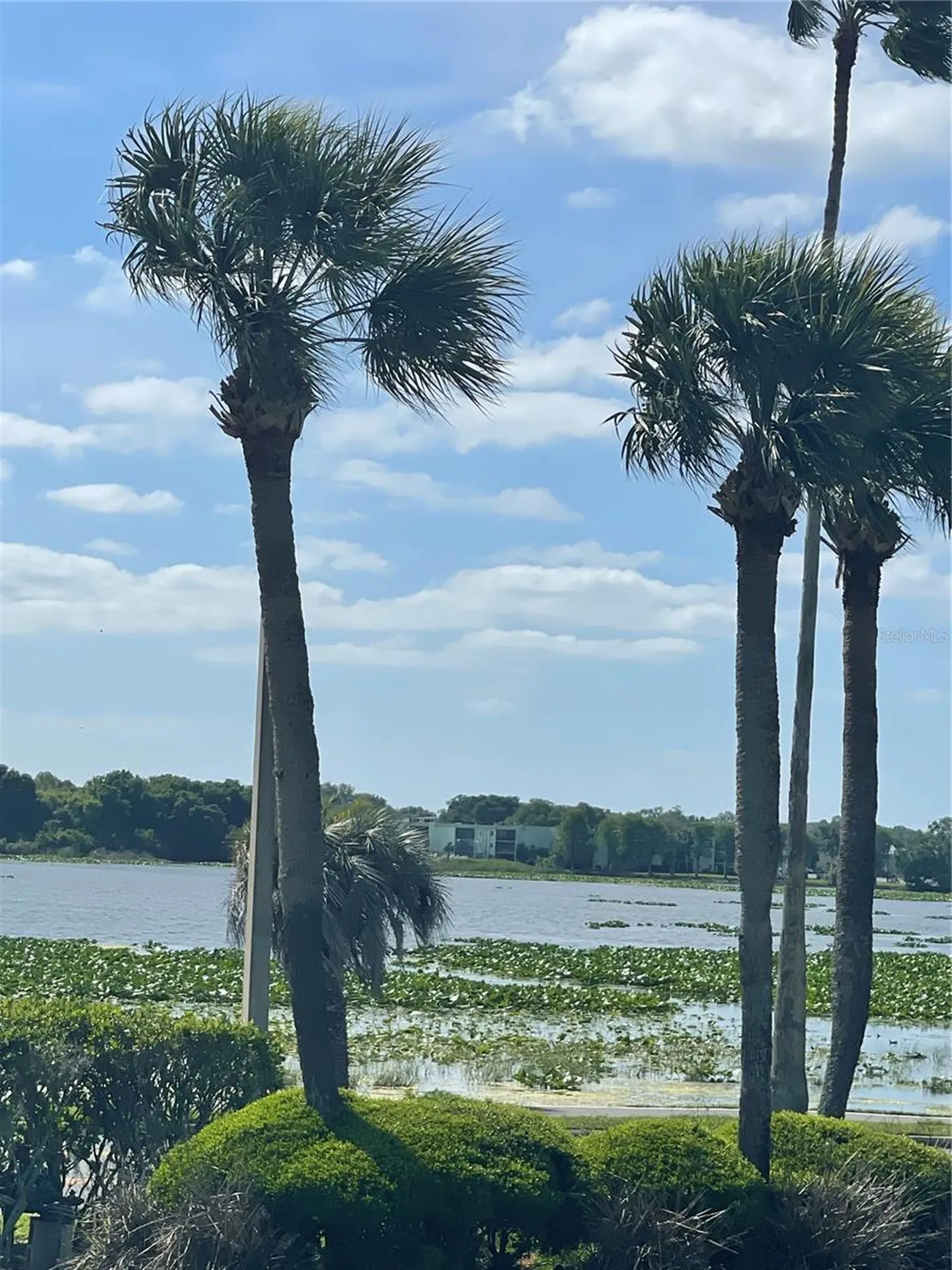 1600 W Lake Parker Drive Lakeland FL 33805