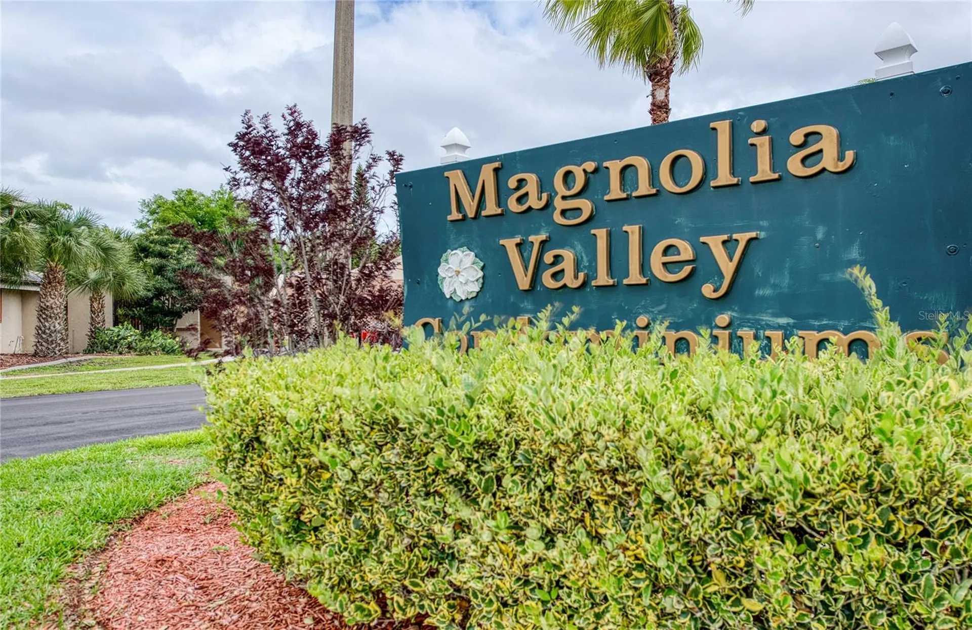 7040 Cognac Drive New Port Richey FL 34653