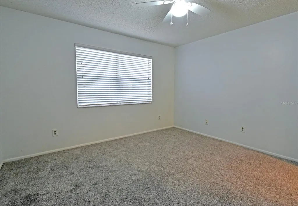 4207 Winding Moss Trail Tampa FL 33613