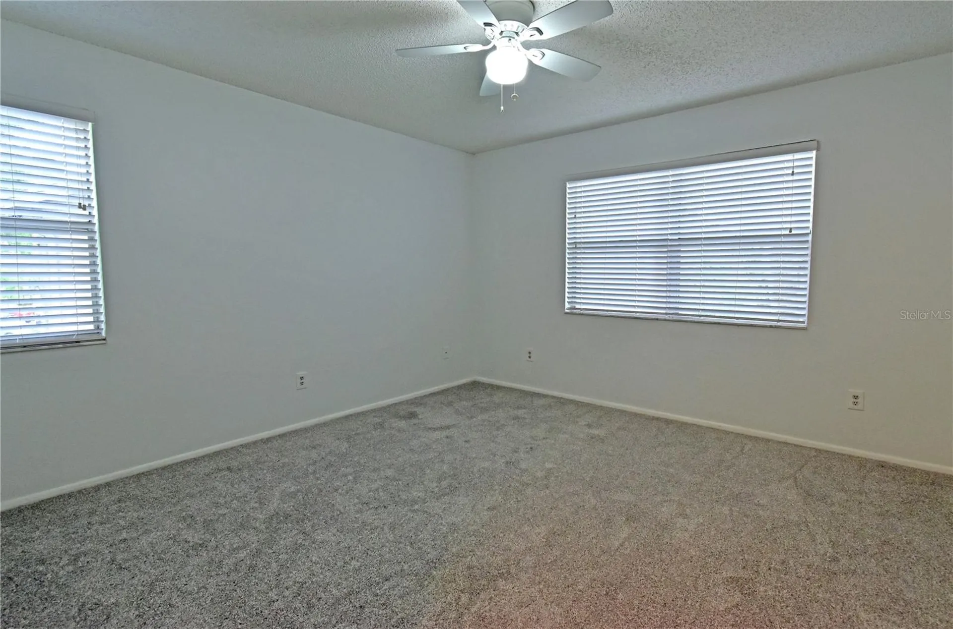 4207 Winding Moss Trail Tampa FL 33613