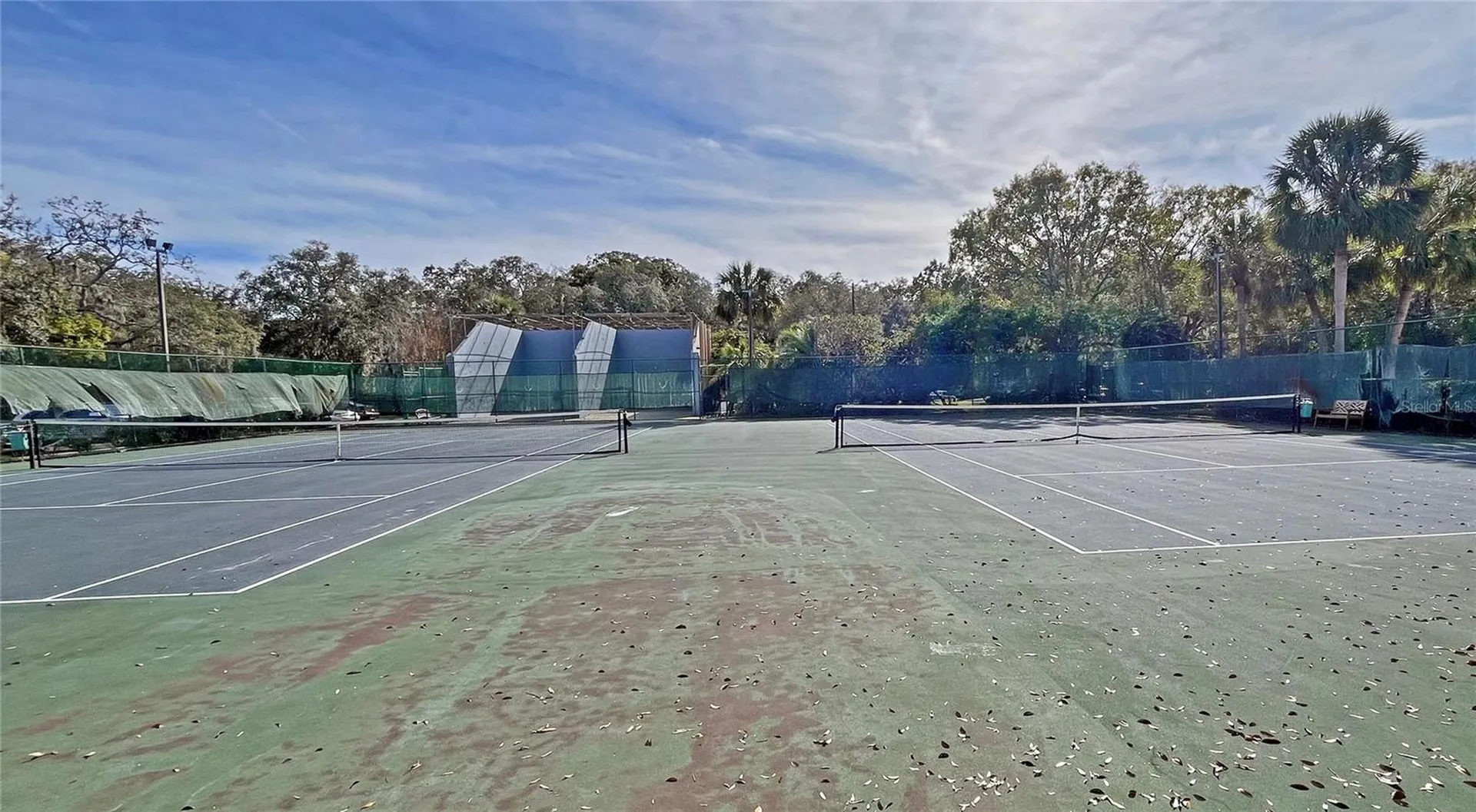 4207 Winding Moss Trail Tampa FL 33613