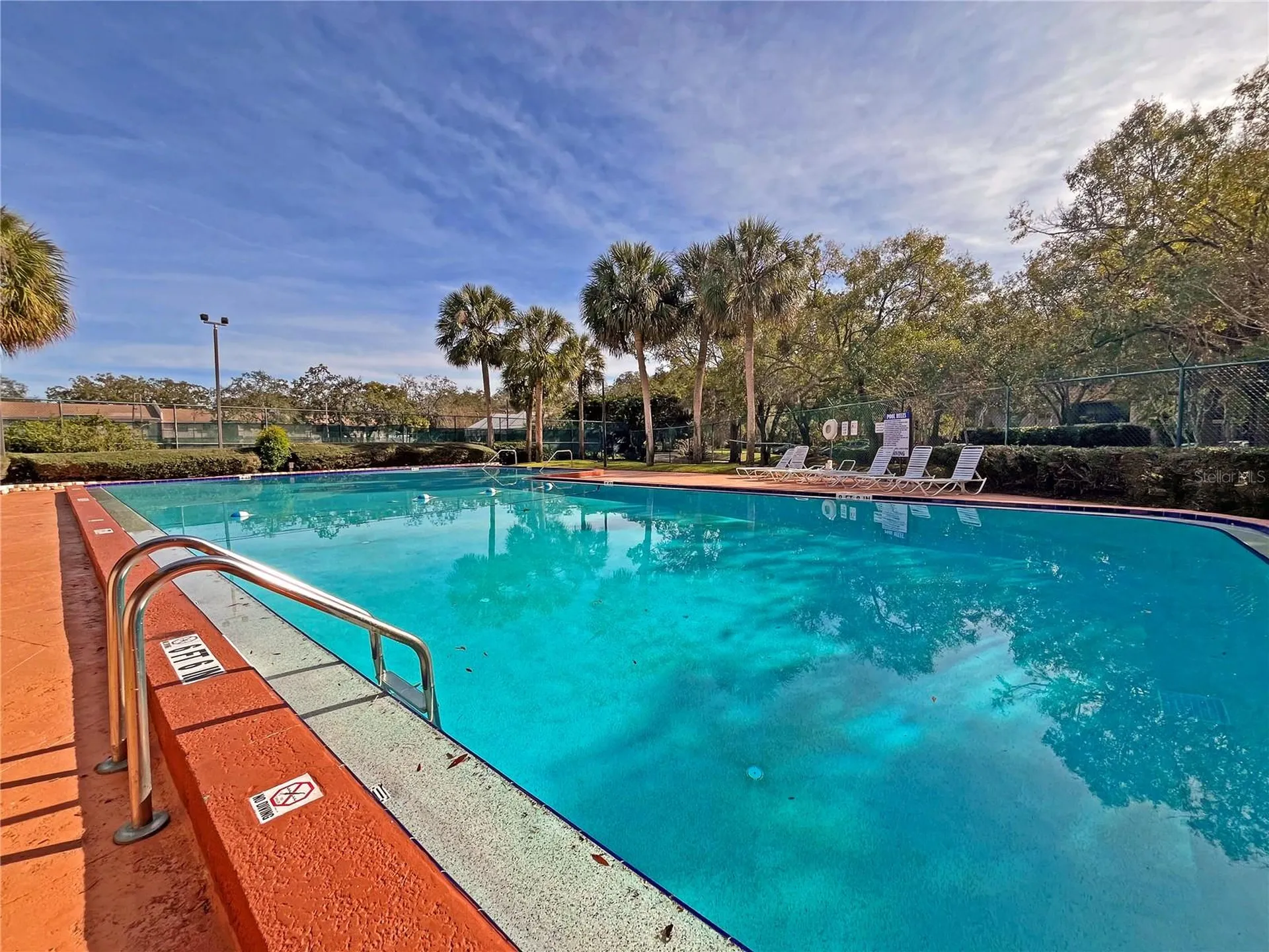 4207 Winding Moss Trail Tampa FL 33613