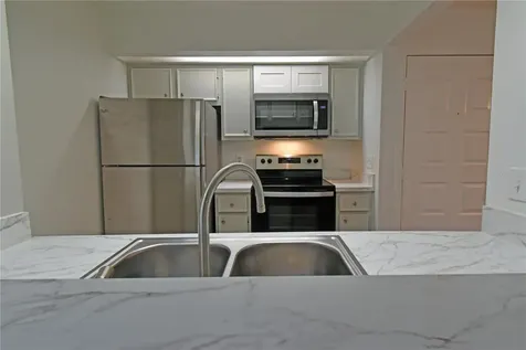 4207 Winding Moss Trail Tampa FL 33613