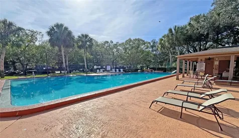 4207 Winding Moss Trail Tampa FL 33613