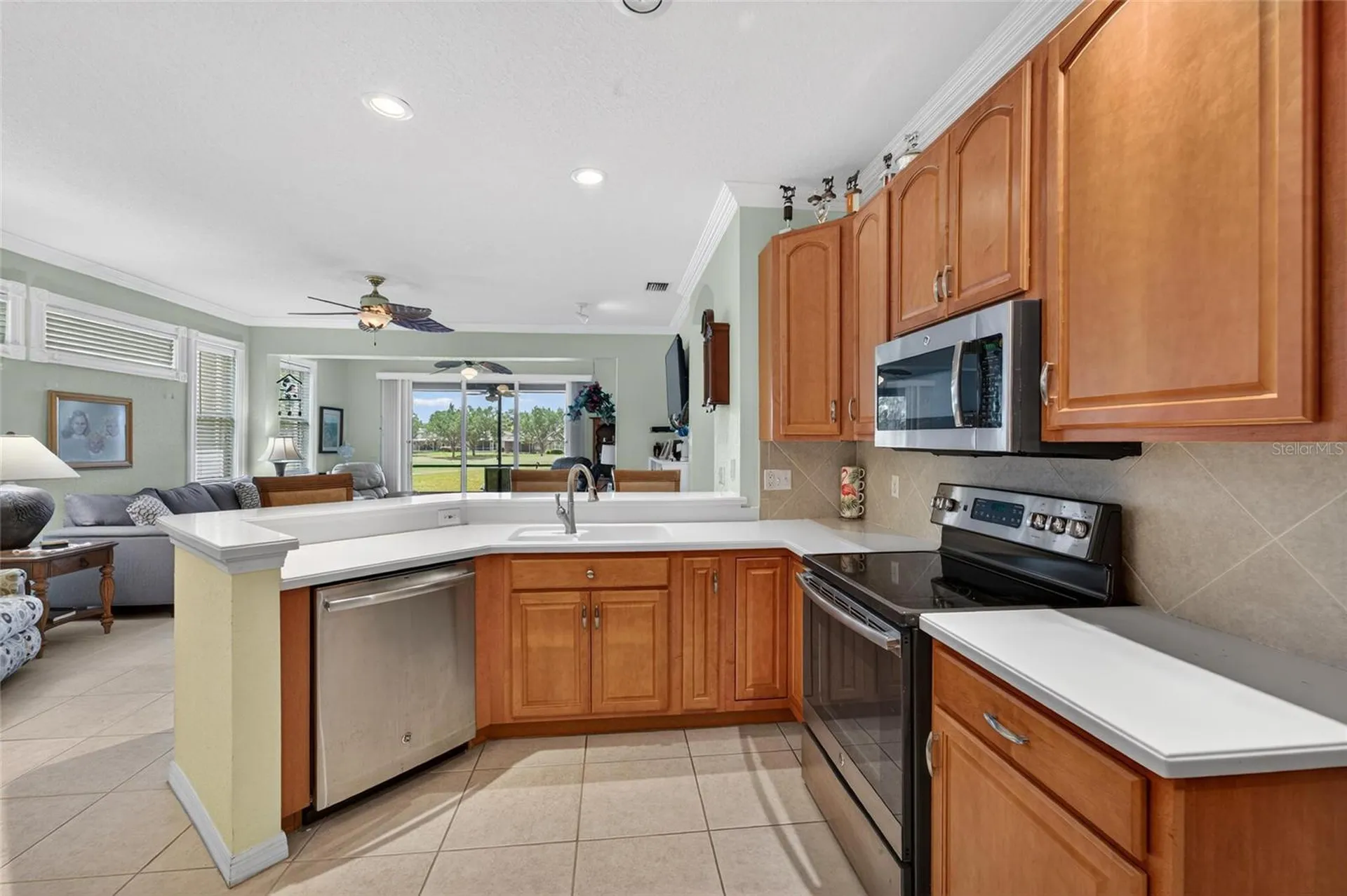 2420 Sifield Greens Way Sun City Center FL 33573