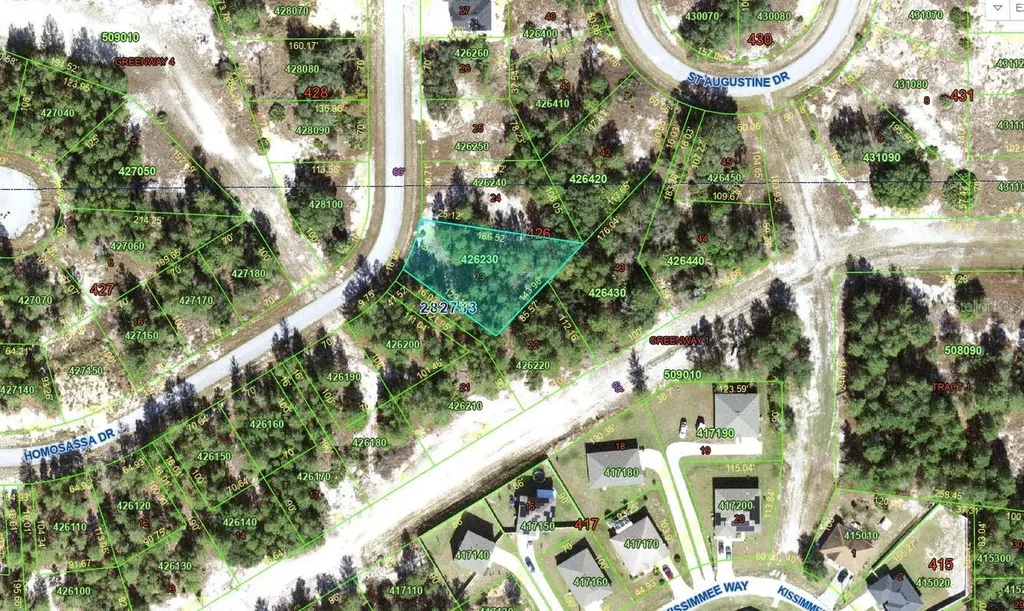 1318 Homosassa Drive Kissimmee FL 34759