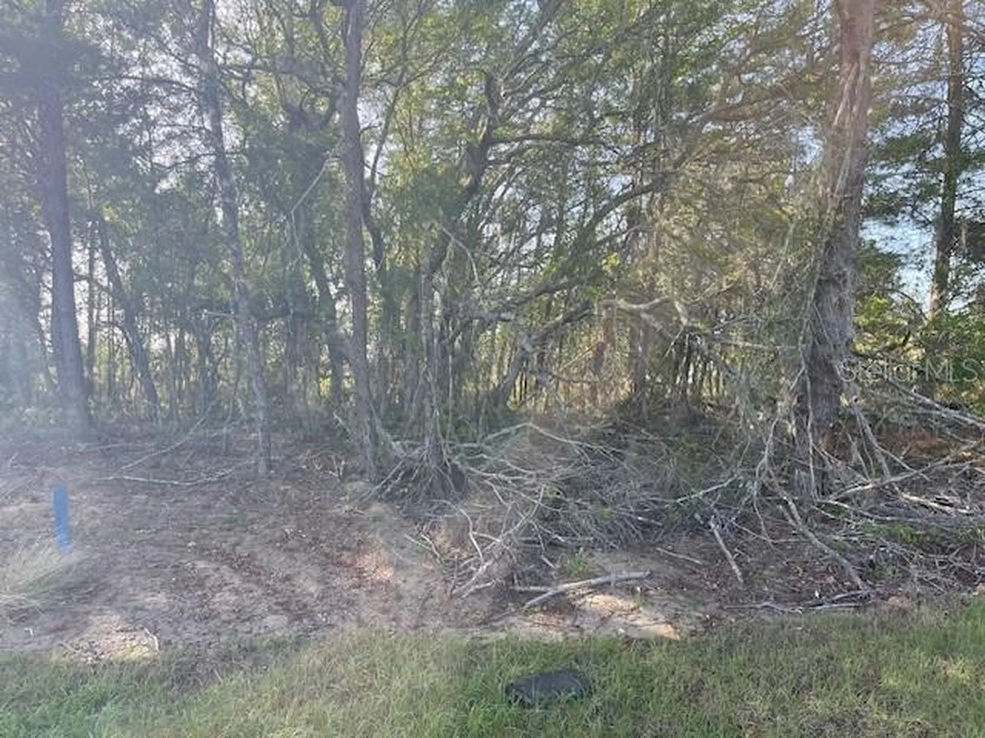 1318 Homosassa Drive Kissimmee FL 34759