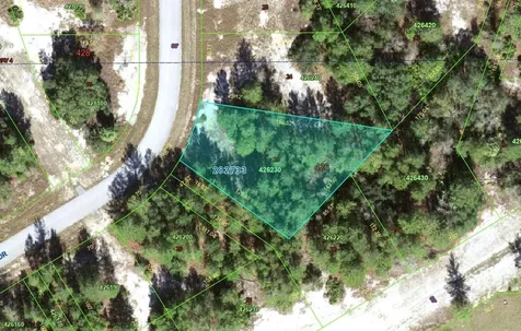 1318 Homosassa Drive Kissimmee FL 34759