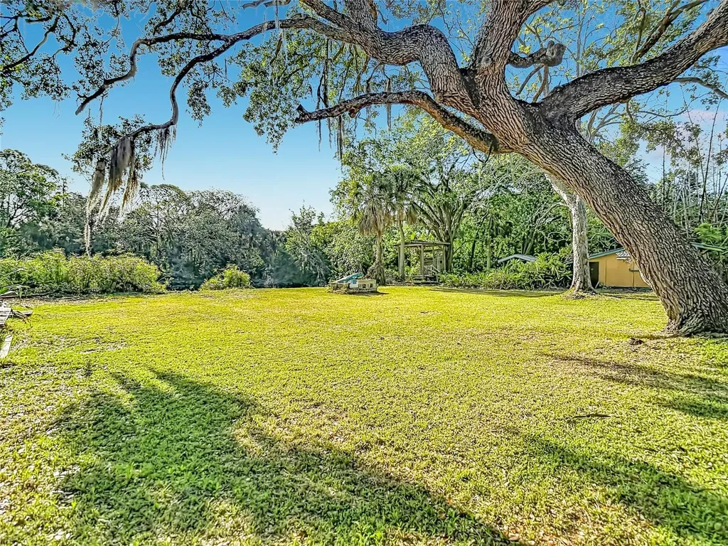 6420 Oelsner Street New Port Richey FL 34652