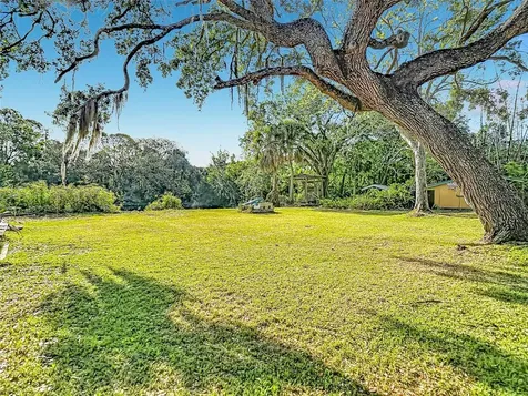 6420 Oelsner Street New Port Richey FL 34652