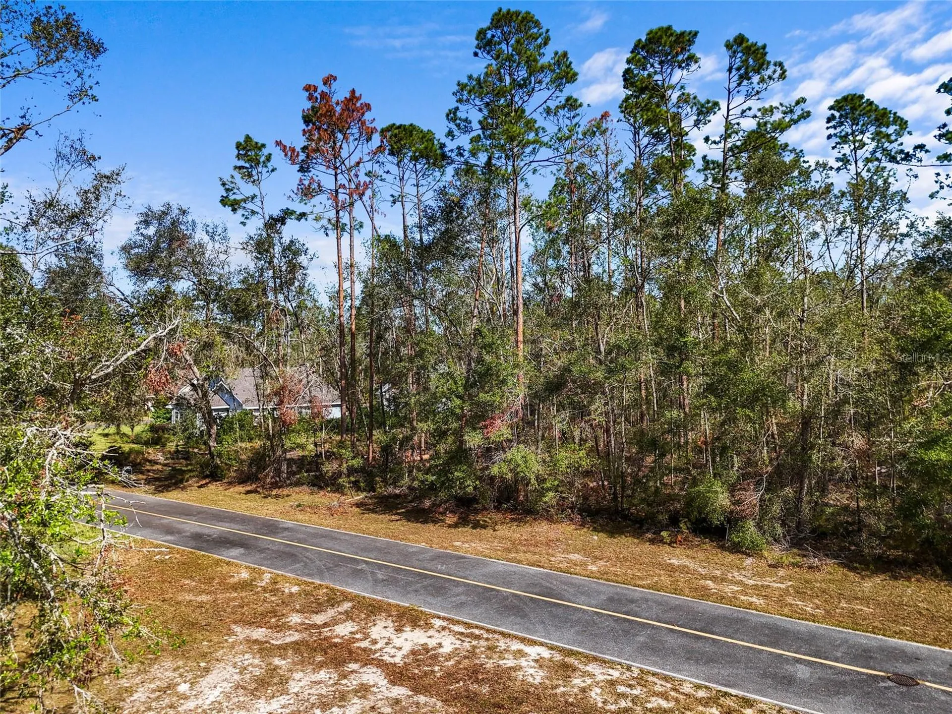 Tbd Wildwood Drive Live Oak FL 32060