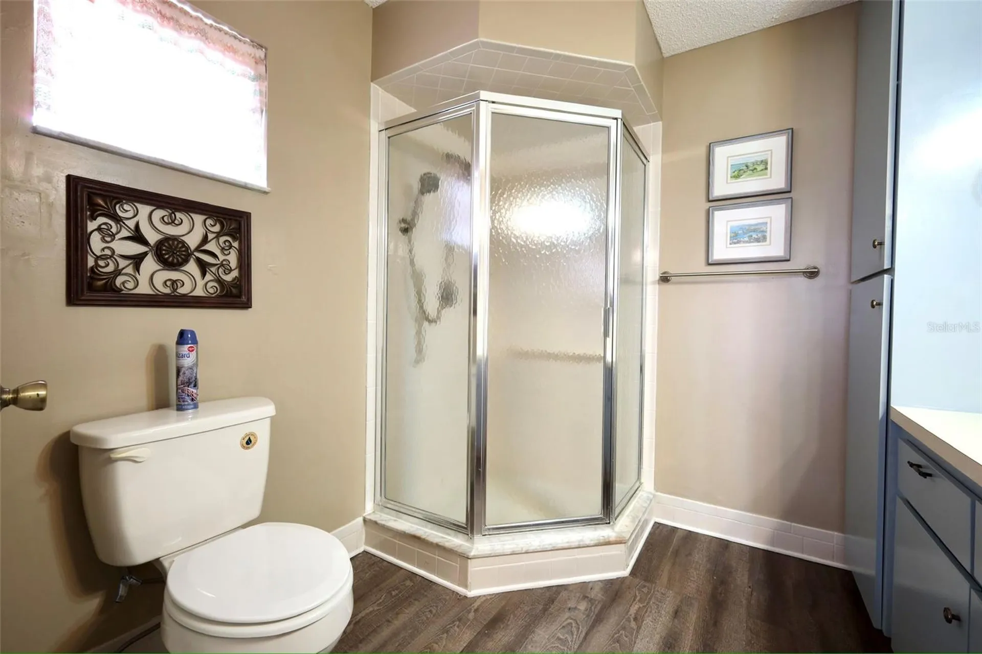 17562 SE 106th Avenue Summerfield FL 34491