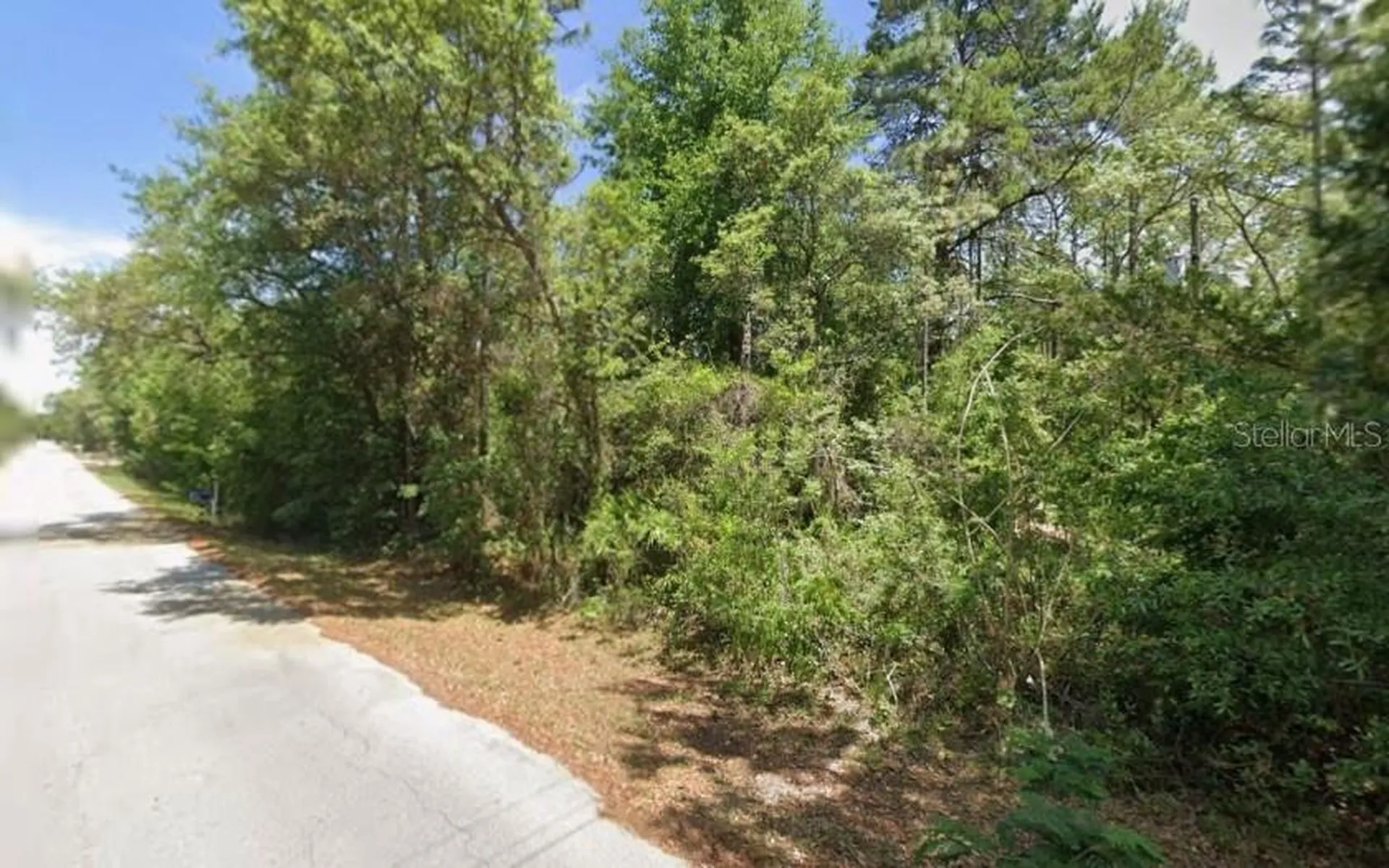 2389 S Bascombe Avenue Homosassa FL 34448