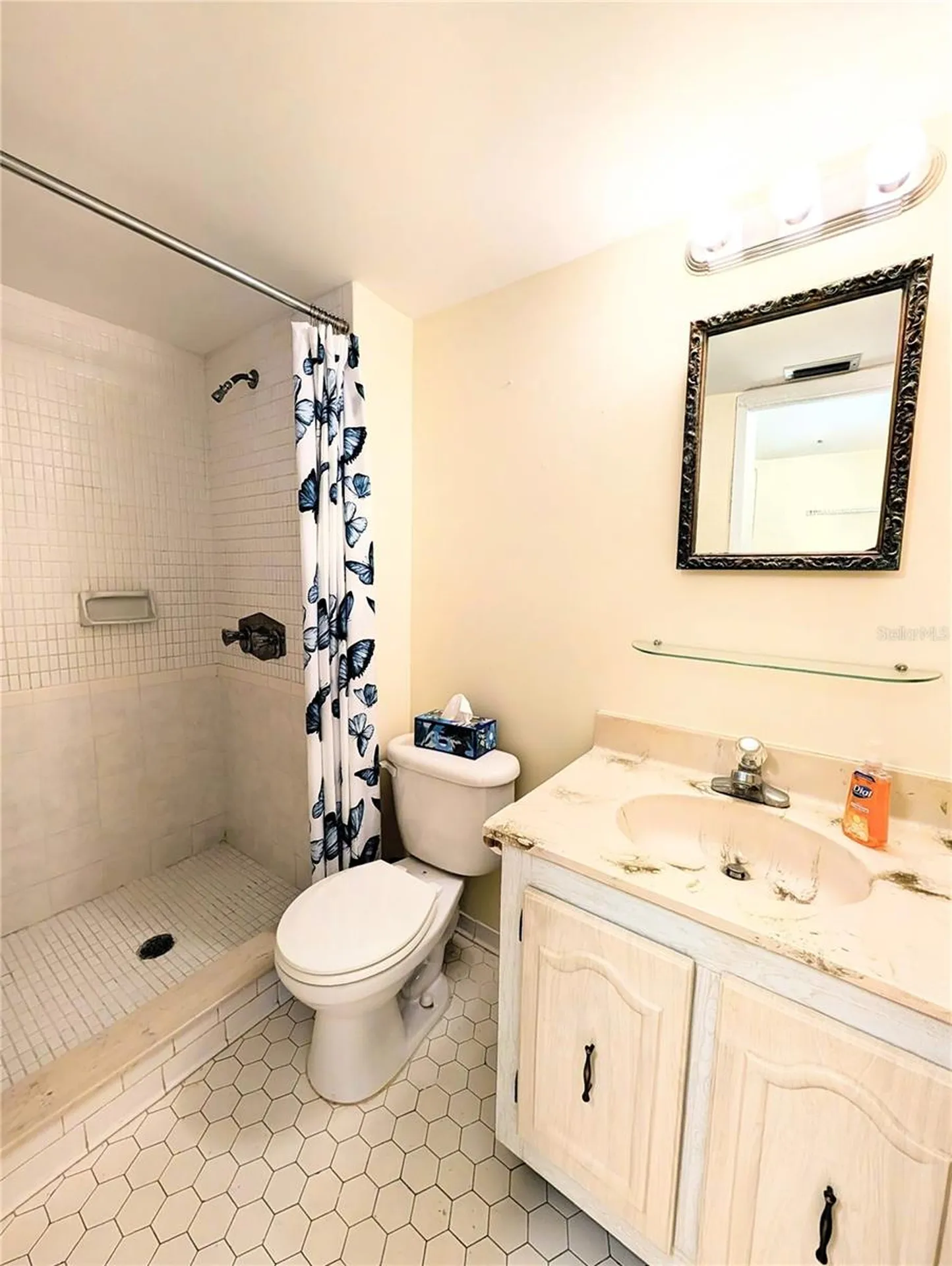 333 Lake Howard Drive NW Winter Haven FL 33880