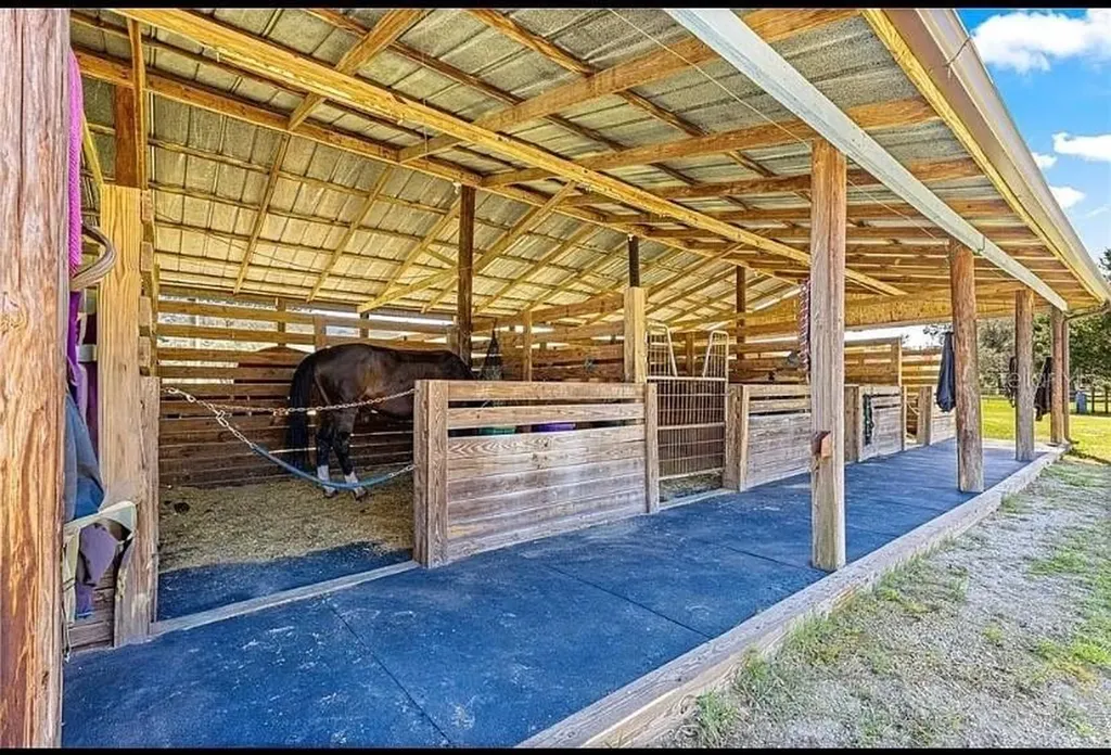 15950 NE 50th Street Williston FL 32696