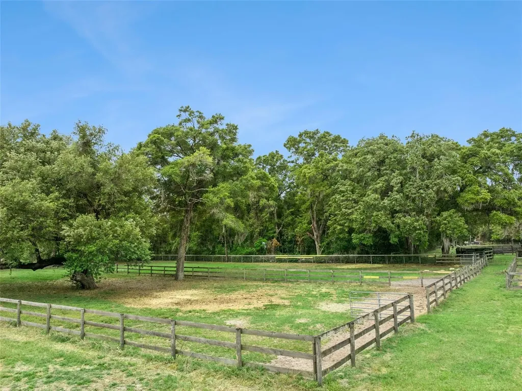 15950 NE 50th Street Williston FL 32696