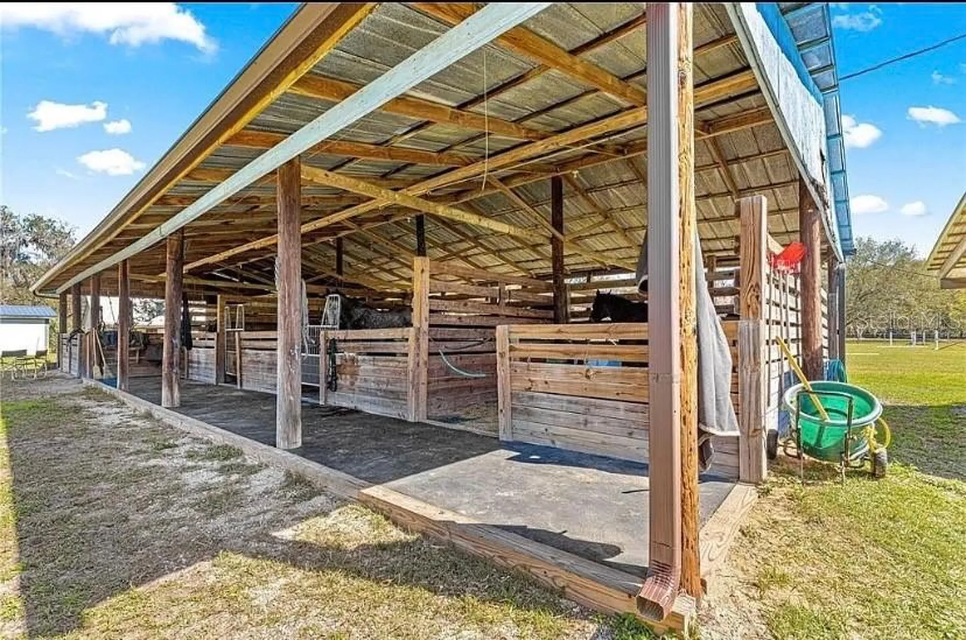 15950 NE 50th Street Williston FL 32696
