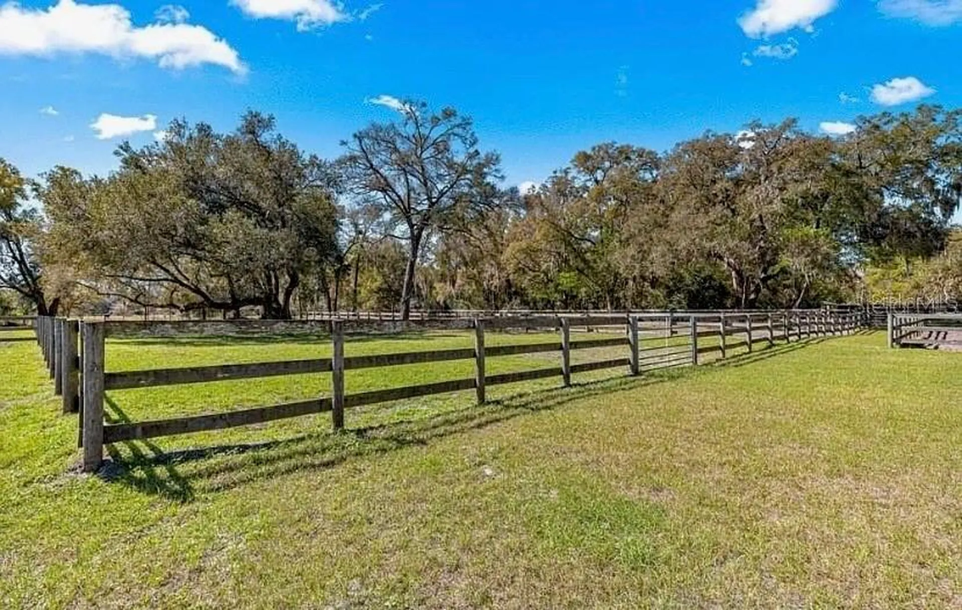 15950 NE 50th Street Williston FL 32696