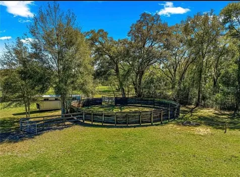 15950 NE 50th Street Williston FL 32696