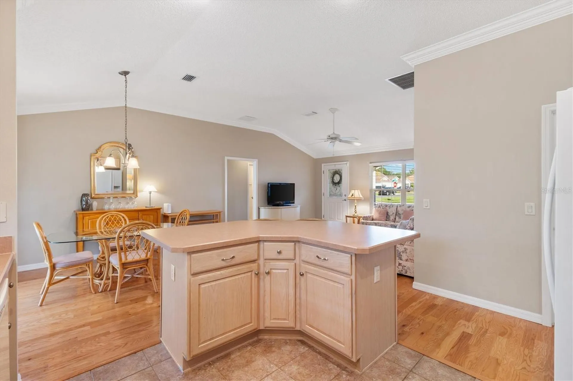 1982 Somerset Avenue The Villages FL 32162
