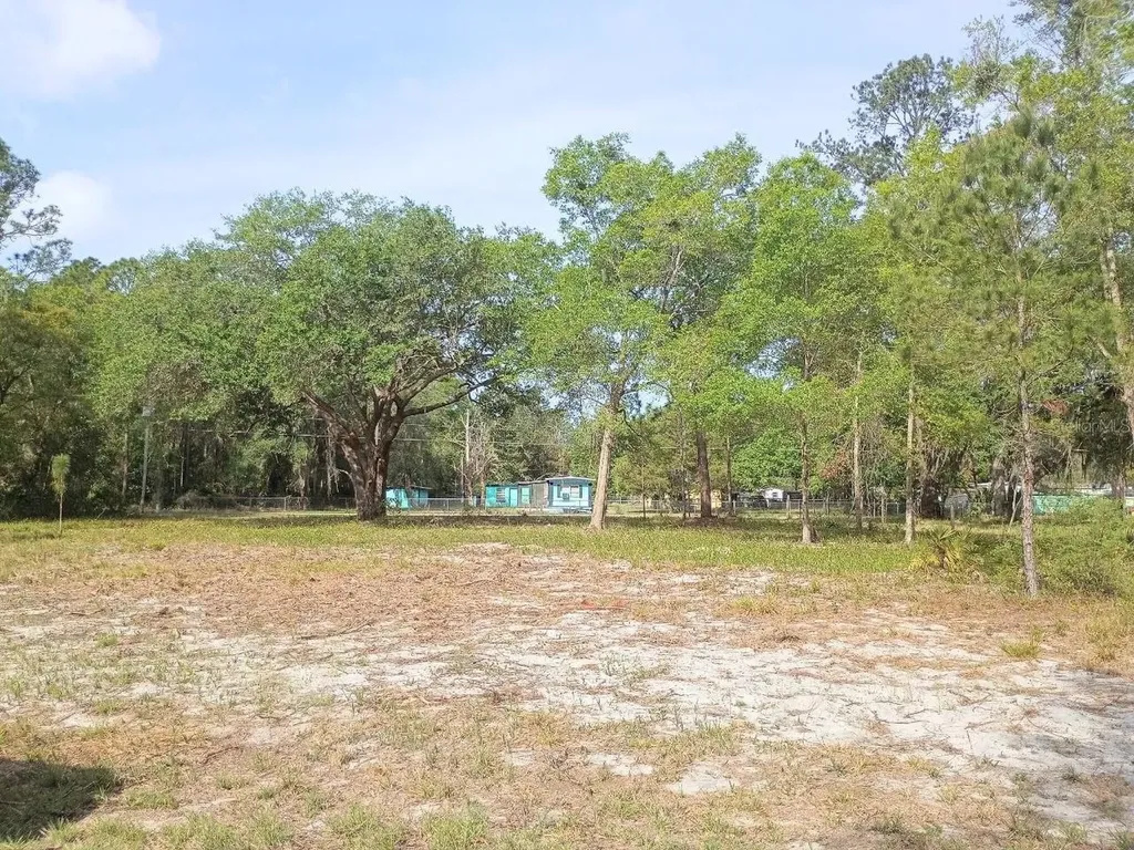NE 141st Court Fort Mc Coy FL 32134