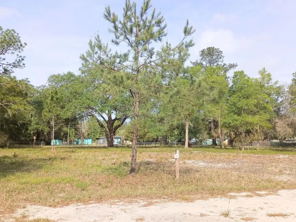 NE 141st Court Fort Mc Coy FL 32134