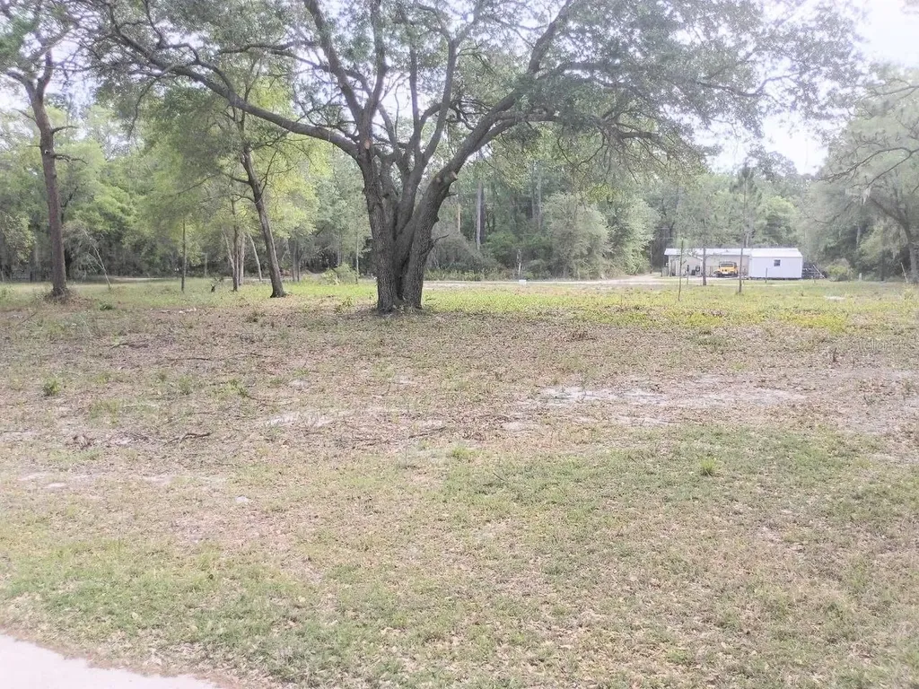 NE 141st Court Fort Mc Coy FL 32134