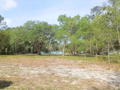 NE 141st Court Fort Mc Coy FL 32134