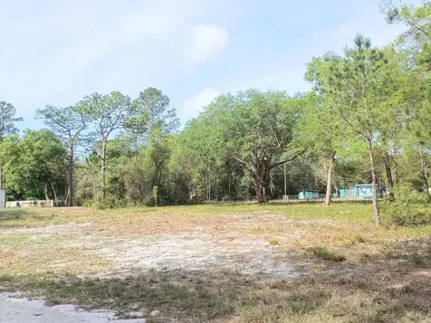 NE 141st Court Fort Mc Coy FL 32134