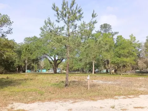 NE 141st Court Fort Mc Coy FL 32134