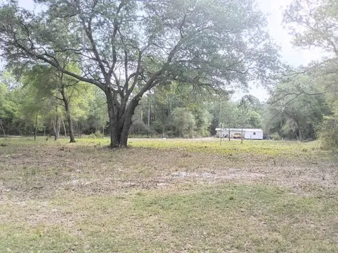 NE 141st Court Fort Mc Coy FL 32134